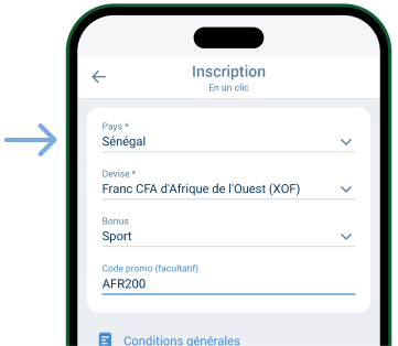 Précisez votre pays